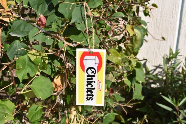 Chiclets Ornaments