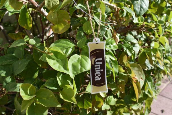 Unica Ornaments